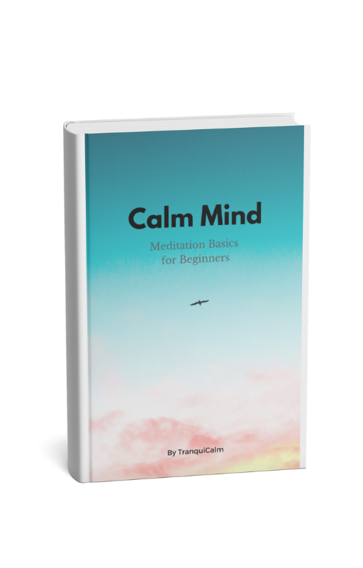 Calm Mind: Meditation Basics for Beginners - Discover Inner Peace